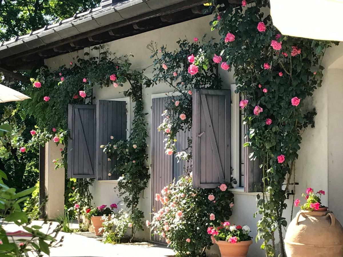 Le Querce Bed & Breakfast Tricesimo Ngoại thất bức ảnh